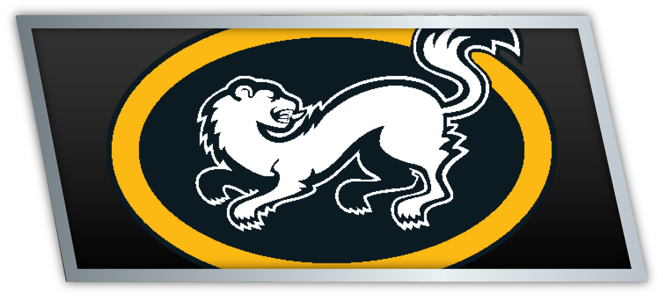 Kärpät