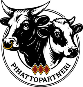 PIHATTOPARTNERI OY